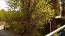 Sony Xperia E4 video sample I, - Mobilissimo.ro
