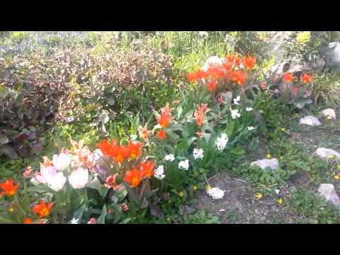 LG Optimus G video sample I. - Mobilissimo.ro