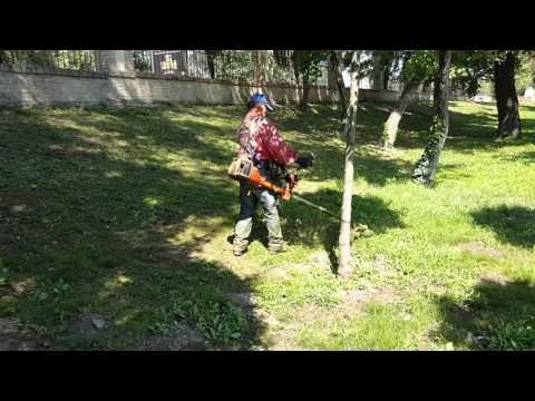 Samsung Galaxy Note 5 Video Sample (FHD 1920x1080, 30fps) - Mobilissimo.ro