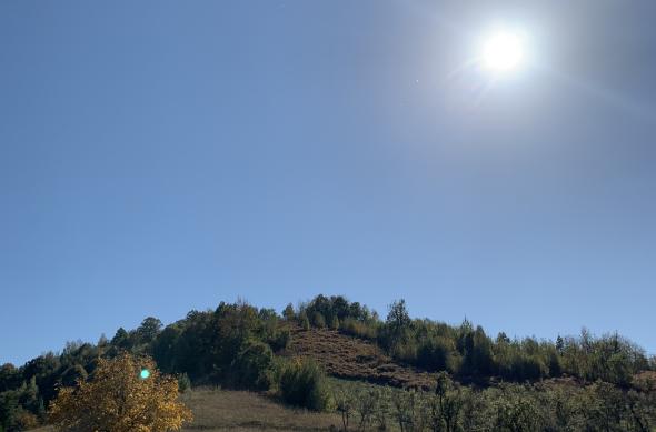 Apple iPhone XS Max - Mostre Foto (ziua): Photo 07-10-2018, 14 20 33.jpg