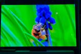 Samsung-OLED-77S95F_041.jpg