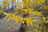 IMG_20190319_161857595.jpg