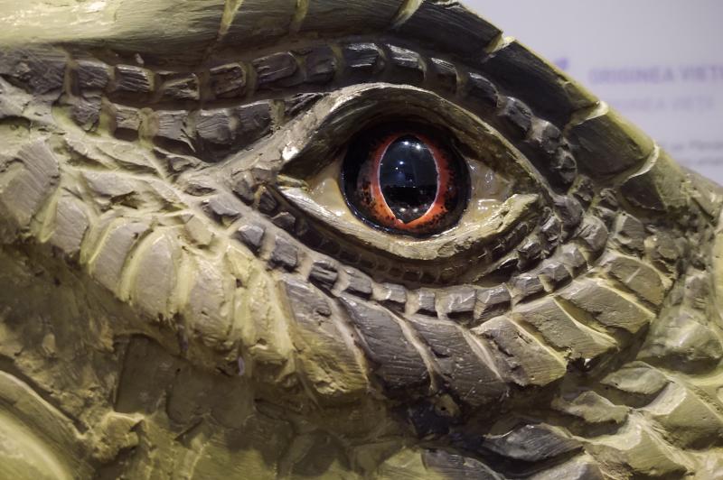 Mostre foto realizate cu Motorola One Zoom la Muzeul Antipa: IMG_20190921_094712463.jpg