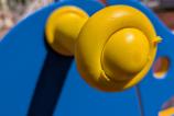 PXL_20250409_085105268.MACRO_FOCUS.jpg