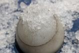 PXL_20250407_175624720.MACRO_FOCUS.jpg