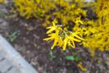 Samsung-Galaxy-A56-Mostre-Bokeh_020.jpg