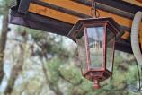 Samsung-Galaxy-A56-Mostre-Bokeh_017.jpg