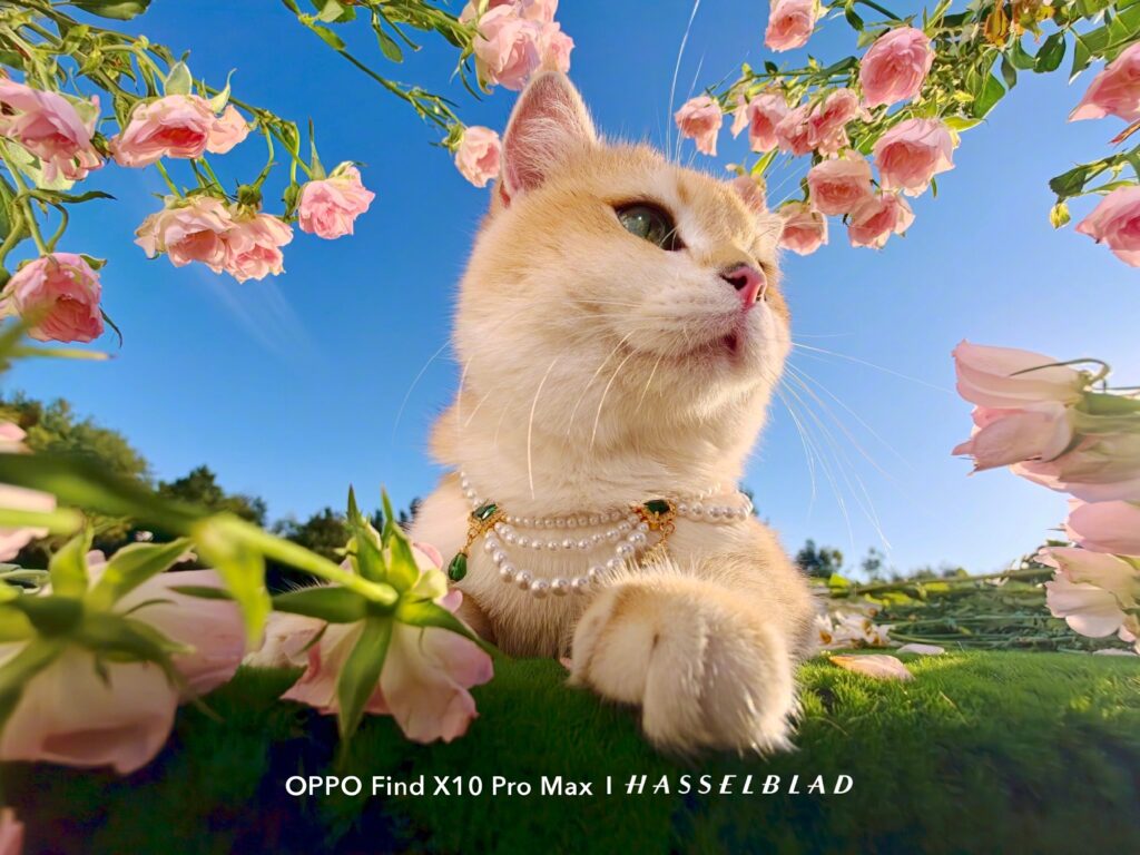 Mostre foto OPPO Find X10 Pro Max (galerie)