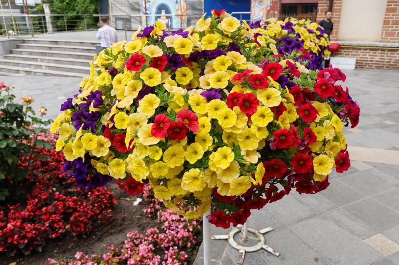 HUAWEI nova 11 Pro - Mostre foto culori: HUAWEI-nova-11-Pro-culori_011.jpg