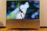 LG-OLED-77G33LA_031.jpg