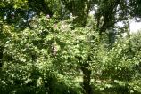 IMG_20160705_133644.jpg