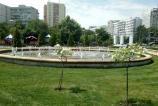 IMG_20160705_134616.jpg