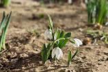 Samsung-Galaxy-S25-Ultra-Mostre-Bokeh_001.jpg