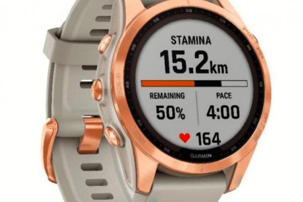 Randări Garmin Fenix 7S