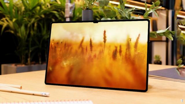 <b>Apar noi detalii despre seria Galaxy Tab S8; Aflăm cât ar costa noile tablete Samsung în Europa</b>Seria de tablete Galaxy Tab S8 ar urma să fie prezentată de către Samsung din moment în moment. Ea va cuprinde trei modele, după cum probabil știți, iar recent și-au făcut apariția în fotografii reale de la o autoritate sud coreeană. Cunoaștem deja