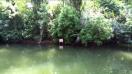 Allview X2 Soul Pro video sample with zoom (Full HD, 1920x1088px, 25FPS ) - Mobilissimo.ro