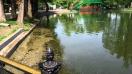 Allview X2 Soul Pro video sample, focus & zoom (Full HD, 1920x1088px, 25FPS ) - Mobilissimo.ro