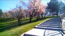Leagoo Lead 1 video sample I. - Mobilissimo.ro