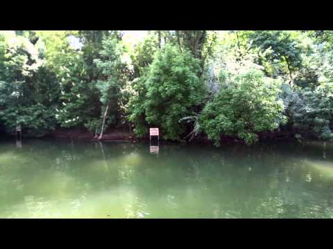 Allview X2 Soul Pro video sample with zoom (Full HD, 1920x1088px, 25FPS ) - Mobilissimo.ro