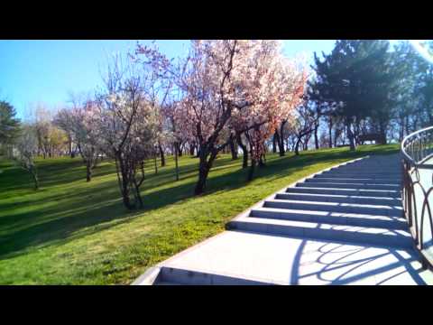 Leagoo Lead 1 video sample I. - Mobilissimo.ro