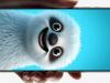 Cam așa va arăta iPhone 16 Pro / Pro Max! Avem dimensiunile exacte ale celor mai importante flagship-uri Apple