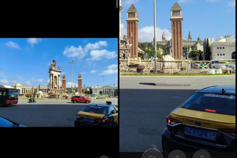 OPPO Reno12 Pro - Funcții AI: cats.jpg