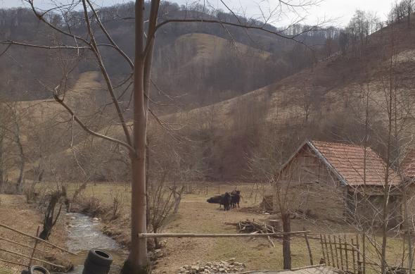 Samsung Galaxy S10+ - Mostre Foto (ziua): 20190308_130441.jpg