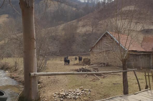 Samsung Galaxy S10+ - Mostre Foto (ziua): 20190308_130925.jpg