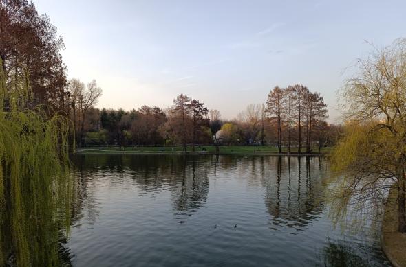 Redmi Note 12 Pro+ 5G - Mostre foto (200 MP): IMG_20230320_175150.jpg
