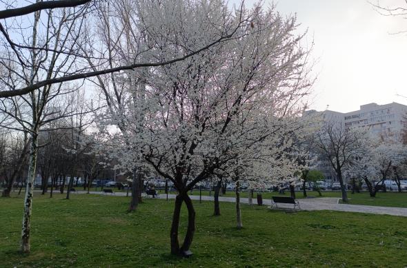 Redmi Note 12 Pro+ 5G - Mostre foto (200 MP): IMG_20230320_172847.jpg