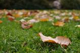 OPPO-Find-X9-Pro-Mostre-Zi_034.jpg