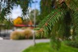 OPPO-Find-X9-Pro-Mostre-bokeh_024.jpg