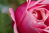 OPPO-Find-X9-Pro-Mostre-macro_014.jpg