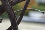OPPO-Find-X9-Pro-Mostre-macro_024.jpg