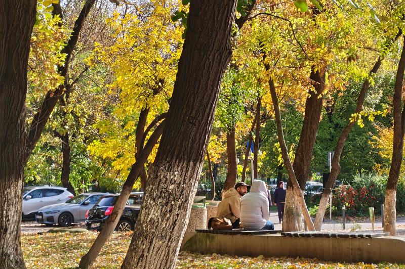 Motorola edge 70 - Mostre Foto (zoom): Motorola-edge-70-Mostre-zoom_008.jpg