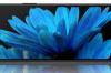 Sony-Xperia-10-IV_010.jpg