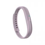 Fitbit Flex 2