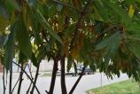 IMG_20161030_145511.jpg