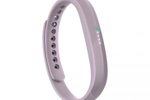 Fitbit Flex 2