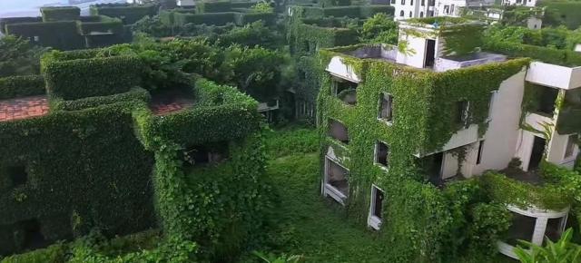 Oare ce se va întâmpla cu roboții după oameni?