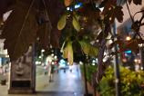 OnePlus-Nord-5-Mostre-noapte_048.jpg