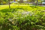 OnePlus-Nord-5-Mostre-Macro_009.jpg