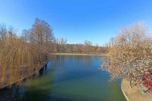 OnePlus Nord CE 2 5G - Mostre Foto (ziua)