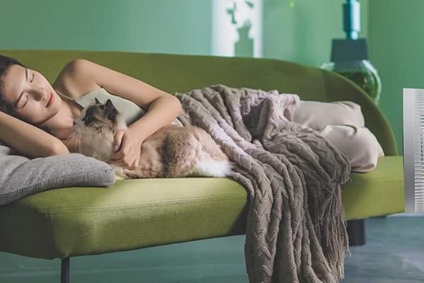 E LUNI e AMAZON: Azi vă recomandăm ventilatorul Dream Maker, care oferă control prin aplicația mobilă și confort în zilele călduroase de vară