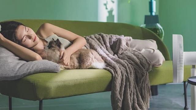 <b>E LUNI e AMAZON: Azi vă recomandăm ventilatorul Dream Maker, care oferă control prin aplicația mobilă și confort în zilele călduroase de vară</b>Iată că am ajuns și în luna mai și nu mai e mult până ce mercurul din termometre va urca iar până la pragul de caniculă. Dacă lucrezi de acasă și încă nu ai un aparat de aer condiționat care să te răcorească, am găsit un produs mai accesibil și ușor