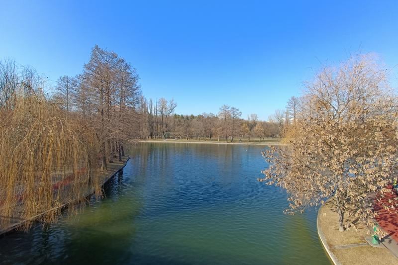 OnePlus Nord CE 2 5G - Mostre Foto (ziua): IMG20220211145659.jpg