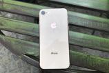 lansare-iphone-8-quickmobile_021.JPG