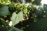 2012-07-21-0015.jpg