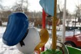 IMG_20170217_152019.jpg
