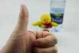 IMG_20170210_162753.jpg